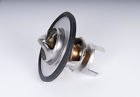 131-132 Acdelco Thermostat