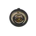 336-1587 17209 Autozone Engine Coolant Duralast By