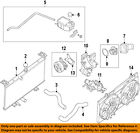 21049et01a Nissan Oem Water Pump Gasket