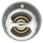 239-180 Motorad Engine Coolant Thermostat