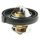 195f-91c 340-195 Motorad Thermostat