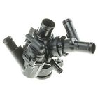 936-207 Motorad Engine Coolant Thermostat-standard 055644936079