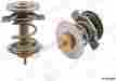 99610612553 Genuine New Thermostat 884109613688