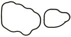 B31585 Victor Water Outlet Gasket