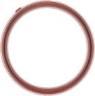1677-24174 C31646 Victor Reinz Engine Coolant 841460164433