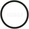 C31889 Mahle Engine Coolant Thermostat Housing Gasket For Gmc Savana