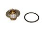 Cti0006 Crp Engine Coolant Thermostat 843266075913
