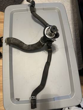 5603485 Ford Thermostat Transit Connect