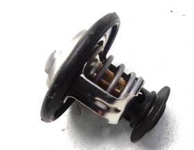 Ford Lb5z-8575-c 2020-2024 Explorer Bronco Ranger Engine Coolant Thermostat Lb5z8575c Oem36c