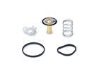 Mmts-fist-14 Mishimoto Racing Thermostat Ford Fiesta St