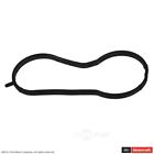 C32879 Rg-635 Motorcraft Engine Coolant Outlet Gasket Left Fits Ford Fiesta