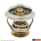 Rt-1232 Motorcraft Engine Coolant Fits Ford Mustang Rt-1232 Motorcraft Engine Coolant Fits Ford Mustang