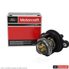 Rt-1242 Motorcraft Engine Coolant Fits Ford Focus