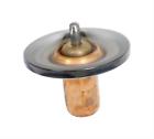 Sum-366-160 Summit Racing Thermostat 190861018945