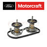 Sx-kdw58 Motorcraft Coolant Thermostat For Ford Super Duty Mq