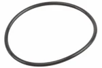Genuine Gm Engine Coolant Seal 12561155. Fixed Price $23.71.