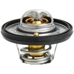 Gates 33919 Oe Type Engine Coolant Thermostat. Fixed Price $34.16.