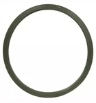Carquest - Engine Coolant Thermostat Seal 30769 Qty 1 Piece. Fixed Price $11.99.