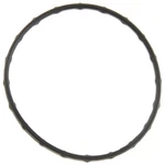For Toyota 4RUNNER Tacoma Tundra & Lexus IS250 GS350 Oem Water Pump Gasket Gap. Fixed Price $14.97.