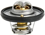 Gates 33919 Thermostat - A4. Fixed Price $24.80.