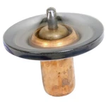 Summit 2014-2018 Gm Gen LT1 Corvette Stingray Silverado 160 Degree Thermostat. Fixed Price $45.79.