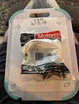 Ford CP9Z-8592-G CP9Z8592G Motorcraft RT-1219 Engine Coolant Thermostat Oem New. Fixed Price $58.29.