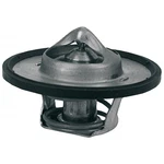 Acdelco Engine Coolant Thermostat 131-71 10190925 For 88-96 Pontiac Firebird. Fixed Price $24.69.