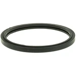 Thermostat Seal Stant 27282. Fixed Price $12.66.
