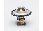 Jet Powertech Thermostat 10174. Fixed Price $42.99.