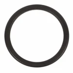 Thermostat Gasket Motorcraft RTS1076. Fixed Price $10.25.