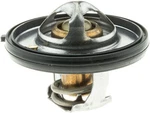 195F Oe Thermostat Gates 33919. Fixed Price $40.77.