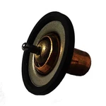 Engine Coolant Thermostat-jet Low Temp Performance 10167. Fixed Price $51.05.