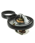 Engine Coolant Thermostat-standard Motorad 718-195. Fixed Price $19.60.