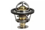 Genuine 1996-2007 Chevrolet Gmc Engine Coolant Thermostat 12559575. Fixed Price $20.43.