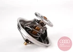 Genuine Audi Thermostat 022-121-113. Fixed Price $87.26.
