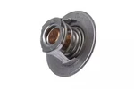 Genuine Gm F (s)thermostat 10202456. Fixed Price $89.11.