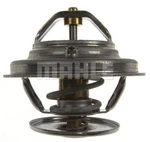 Engine Coolant Thermostat-behr Thermot-tronik Hella Tx 19 75D. Fixed Price $30.95.