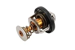 New Genuine Gm Engine Coolant Thermostat Oe 12591881. Fixed Price $79.25.