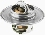 -195 Coolant Thermostat F150 F250 F350 Ford F-150 Mustang XR3Z8575BA RT-1139. Fixed Price $16.95.
