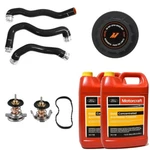 Mishimoto Hoses/thermostats/cap & Motorcraft Coolant For 08-10 6.4L Powerstroke. Fixed Price $929.40.