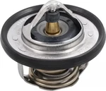 Genuine Nissan Engine Coolant Thermostat 21200-ET01A. Fixed Price $31.37.