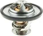 Engine Coolant Thermostat-oe Type Gates 33941. Fixed Price $37.95.