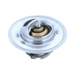 Motorad 200-195 THERMOSTAT-195 Degrees. Fixed Price $22.17.