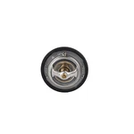 172F/78C Thermostat Aisin THF002. Fixed Price $33.71.