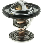 Gates 34198 Oe Type Engine Coolant Thermostat. Fixed Price $18.50.