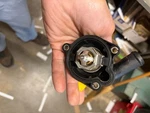 Motorad 730-221. Fixed Price $25.00.