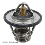 Thermostat Beck/arnley 143-0789. Fixed Price $29.76.