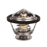 Mishimoto Low Temp 160 Racing Thermostat For 1993-1997 Camaro 4.3/5.7L. Fixed Price $32.00.