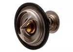 Genuine Gm Engine Coolant Thermostat 12555290. Fixed Price $45.79.
