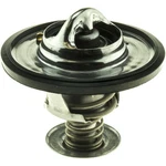 Gates 33019S Premium Engine Coolant Thermostat. Fixed Price $20.80.